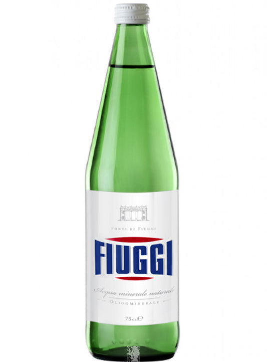 FIUGGI Water Natural